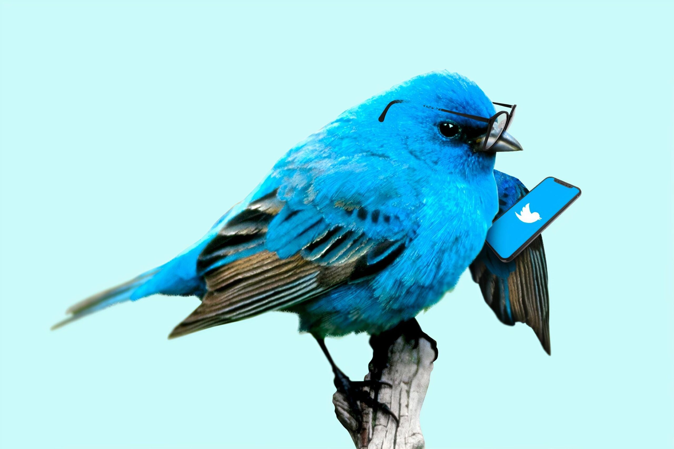 A blue bird with glasses holding a smartphone with Twitter displaying